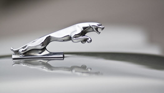 Jaguar Car Logo